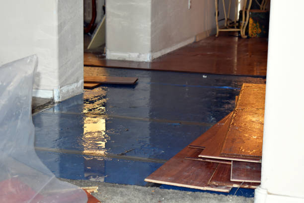 Professional Water Damage Repair technician working in Chatham, IL